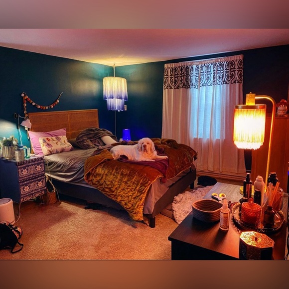 EVERYTHING MUST GO! - Picture 11 of 11